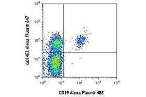 Flow Cytometry (FACS) image for anti-Chemokine (C-C Motif) Receptor 6 (CCR6) antibody (Alexa Fluor 647) (ABIN2657669) (CCR6 抗体  (Alexa Fluor 647))