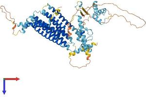 AMFR Protein (AA 1-643) (His tag)