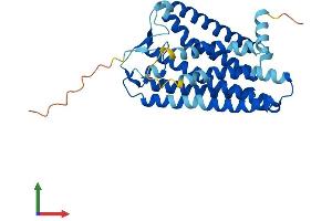 Protein Structure (PS) image for Olfactory Receptor 3A3 (OR3A3) (AA 1-321) protein (His tag) (ABIN7550519)