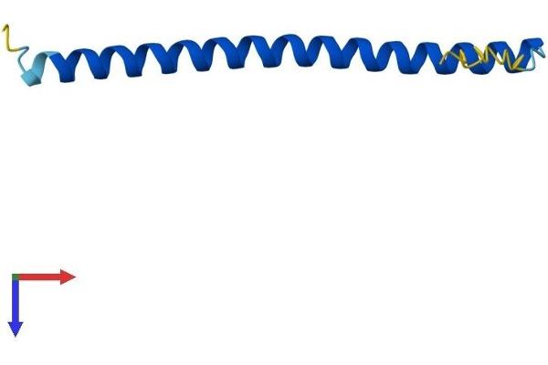 HSBP1 Protein (AA 1-76) (Fc Tag)