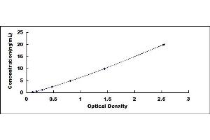 Typical standard curve (BTN3A1 ELISA 试剂盒)