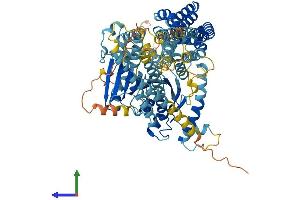 Protein Structure (PS) image for Nuclear GTPase, Germinal Center Associated (NUGGC) (AA 1-796) protein (His tag) (ABIN7562091)