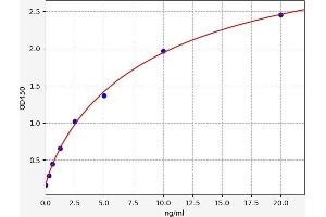 Pro-Atrial Natriuretic Peptide (PRO-ANP) ELISA Kit