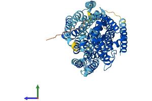 AlphaFold protein structure predicition of Human Recombinant SLC5A10 Protein, UniprotID A0PJK1