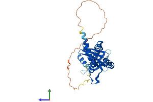 AlphaFold protein structure predicition of Mouse Recombinant Nhej1 Protein, UniprotID Q3KNJ2
