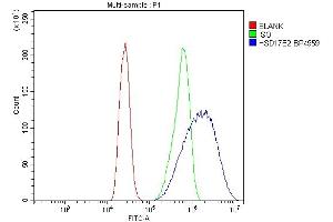 Flow Cytometry analysis of CACO-2 cells using anti-HSD17B2 antibody (ABIN7602828).