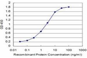 Detection limit for recombinant GST tagged SMG1 is approximately 0. (SMG1 抗体  (AA 2922-3031))