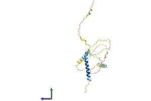 Protein Structure (PS) image for BCL2/adenovirus E1B 19kDa Interacting Protein 3-Like (BNIP3L) (AA 1-219) protein (His tag) (ABIN7552879)