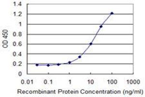 Detection limit for recombinant GST tagged CLEC1A is 0. (CLEC1A 抗体  (AA 1-280))