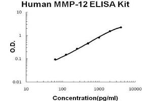 Human MMP-12 PicoKine ELISA Kit standard curve (MMP12 ELISA 试剂盒)