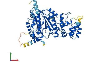 AlphaFold protein structure predicition of Mouse Recombinant Prim1 Protein, UniprotID P20664