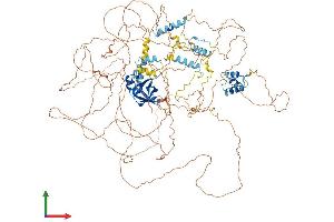 Protein Structure (PS) image for MIS18 Binding Protein 1 (MIS18BP1) (AA 1-1132) protein (His tag) (ABIN7554445)