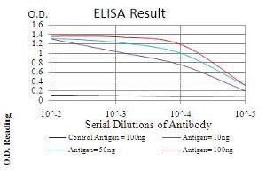 Black line: Control Antigen (100 ng), Purple line: Antigen(10 ng), Blue line: Antigen (50 ng), Red line: Antigen (100 ng), (CBX1 抗体  (AA 1-185))
