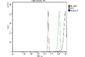 Flow Cytometry analysis of Hela cells using anti-HHR23A/RAD23A antibody (ABIN7603222).