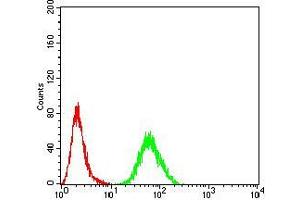 Flow Cytometry (FACS) image for anti-Ras-related Protein Ral-A (rala) (AA 71-203) antibody (ABIN5542385)