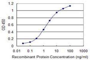 Detection limit for recombinant GST tagged DHX8 is 0. (DHX8 抗体  (AA 301-400))