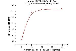 Immobilized Human HBEGF, His Tag (ABIN6992347) at 5 μg/mL (100 μL/well) can bind Human EGF R, Fc Tag (ABIN2181001,ABIN2181000) with a linear range of 1-20 ng/mL (QC tested). (HBEGF Protein (AA 63-148) (His tag))