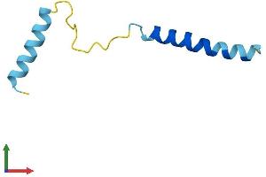 AlphaFold protein structure predicition of Human Recombinant SERP2 Protein, UniprotID Q8N6R1 (SERP2 Protein (AA 1-65) (Fc Tag))