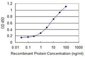Detection limit for recombinant GST tagged TSC22D1 is 0. (TSC22D1 抗体  (AA 1-144))