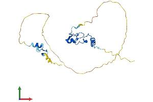 Protein Structure (PS) image for Zinc Finger, AN1-Type Domain 3 (ZFAND3) (AA 1-227) protein (His tag) (ABIN7545437)