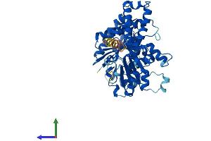 Protein Structure (PS) image for Tubulin, beta 1 (TUBB1) (AA 1-451) protein (His tag) (ABIN7561944)