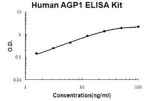 Human AGP1/alpha 1 acid glycoprotein PicoKine ELISA Kit standard curve (ORM1 ELISA 试剂盒)