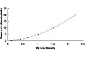 Typical standard curve (Smoothelin ELISA 试剂盒)