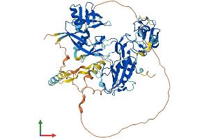 Protein Structure (PS) image for Deltex Homolog 4 (Drosophila) (DTX4) (AA 1-616) protein (His tag) (ABIN7558050)