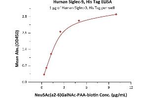 Immobilized Human Siglec-9, His Tag (ABIN6938927,ABIN6951004) at 10 μg/mL (100 μL/well) on Nickel Coated plate, can bind Neu5Ac(a2-6)GalNAc-n with a linear range of 0. (SIGLEC9 Protein (AA 18-348) (His tag))