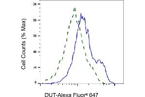 Validation of DUT knockdown using flow cytometry. (Recombinant Deoxyuridine Triphosphatase (DUT) 抗体)
