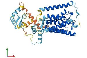 Protein Structure (PS) image for Rhomboid, Veinlet-Like 3 (RHBDL3) (AA 1-404) protein (His tag) (ABIN7551409)