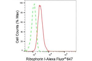 Flow cytometric analysis of Ribophorin I expression in HT- cells using Ribophorin I antibody (ABIN7800214), 1:2,000).