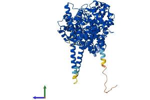Protein Structure (PS) image for Nuclear Cap Binding Protein Subunit 1, 80kDa (NCBP1) (AA 1-790) protein (His tag) (ABIN7563764)