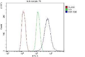 Flow Cytometry analysis of U20S cells using anti-IRS1 antibody (ABIN7599659).