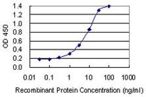 Detection limit for recombinant GST tagged KDM6A is 0. (KDM6A 抗体  (AA 641-740))