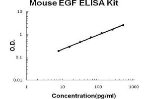 Mouse EGF PicoKine ELISA Kit standard curve