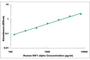 Representative Standard Curve (HIF1A ELISA 试剂盒)