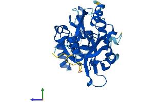 Protein Structure (PS) image for Nudix (Nucleoside Diphosphate Linked Moiety X)-Type Motif 22 (NUDT22) (AA 1-303) protein (His tag) (ABIN7549945)