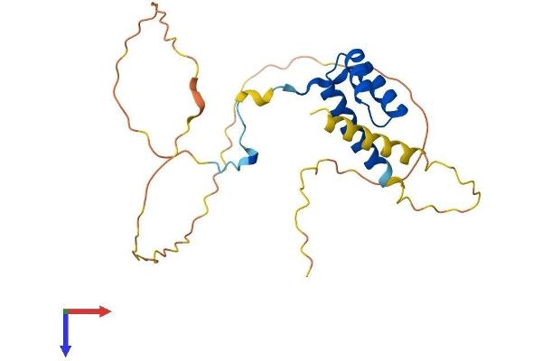 HOXA7 Protein (AA 1-229) (His tag)