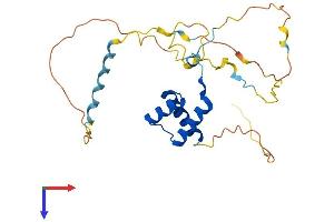 HOXB4 Protein (AA 1-251) (His tag)