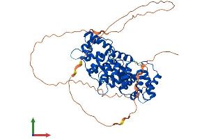 Protein Structure (PS) image for Annexin A7 (ANXA7) (AA 1-488) protein (His tag) (ABIN7552162)