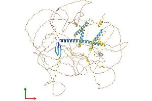 AlphaFold protein structure predicition of Mouse Recombinant Atn1 Protein, UniprotID O35126