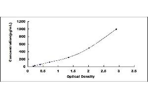 Typical standard curve (IL-9 ELISA 试剂盒)