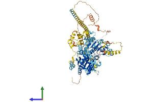 Protein Structure (PS) image for Helicase, Lymphoid-Specific (HELLS) (AA 1-838) protein (His tag) (ABIN7554101)