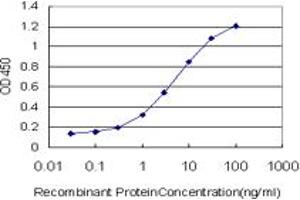 Detection limit for recombinant GST tagged EHD3 is approximately 0. (EHD3 抗体  (AA 357-406))