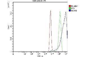 Flow Cytometry analysis of U87 cells using anti-NUMB antibody (ABIN3043374).
