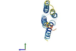 Protein Structure (PS) image for Leptin Receptor Overlapping Transcript-Like 1 (LEPROTL1) (AA 1-131) protein (His tag) (ABIN7560515)