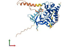 Protein Structure (PS) image for Inositol Hexakisphosphate Kinase 2 (IP6K2) (AA 1-426) protein (His tag) (ABIN7548535)