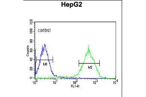 Flow cytometric analysis of HepG2 cells (right histogram) compared to a negative control cell (left histogram). (NDUFA10 抗体  (AA 252-281))