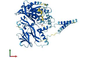 Protein Structure (PS) image for SAC1 Suppressor of Actin Mutations 1-Like (SACM1L) (AA 1-587) protein (His tag) (ABIN7551659)